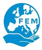 FEM